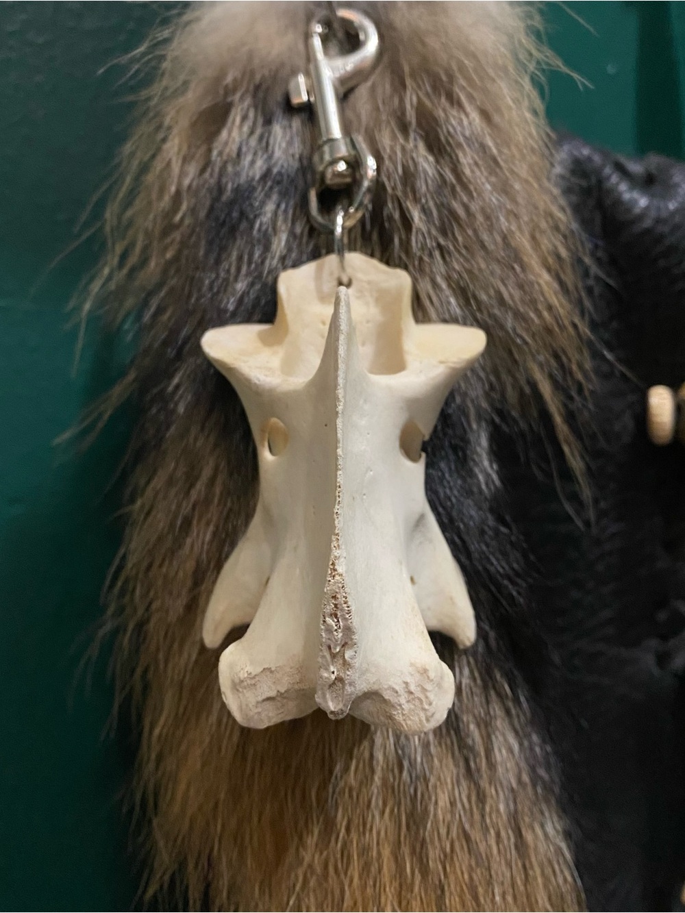 Deer Vertebrae Bone Keychain